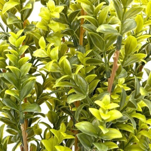 20” Faux Boxwood in Terracotta Pot Green - Threshold Studio McGee - Target 2022 - Picture 9 of 10